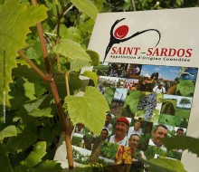 Syndicat Saint-Sardos