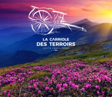 Création Logo Terroirs de France
